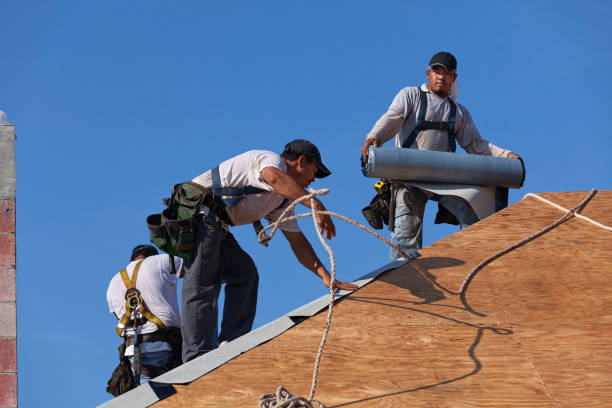 Best Local Roofing Companies  in Silver Ridge, NJ