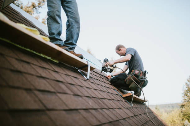 Best Roof Replacement Cost  in Silver Ridge, NJ